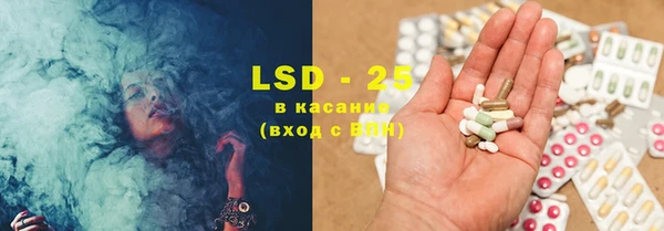 ешки Аркадак