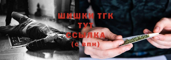 ешки Аркадак