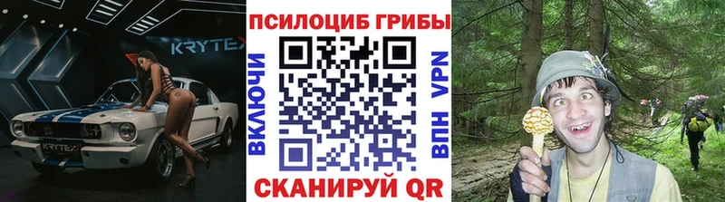 Галлюциногенные грибы Psilocybine cubensis  Белорецк 